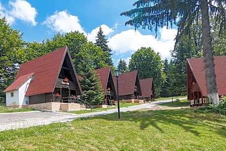 Centrul de Echitatie Poiana Brasov