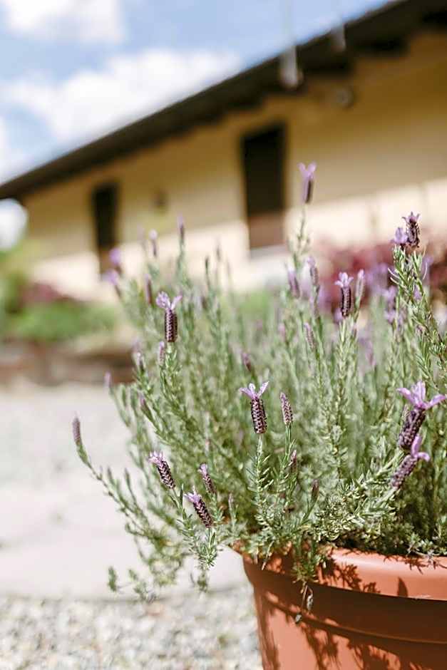 LA CASETTA Malpensa Guesthouse