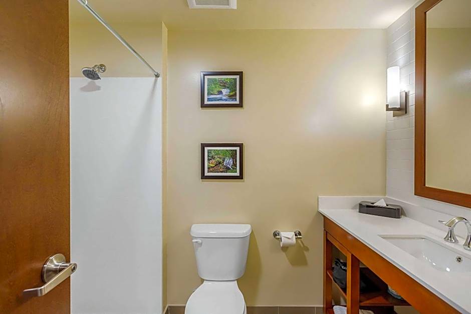 Comfort Suites Burlington near I-5