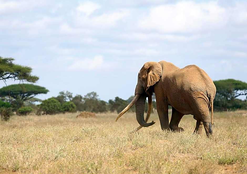 Ol Tukai Lodge Amboseli