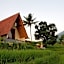 Padi Bali Jatiluwih