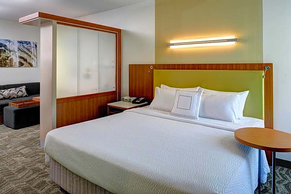 SpringHill Suites by Marriott Saginaw