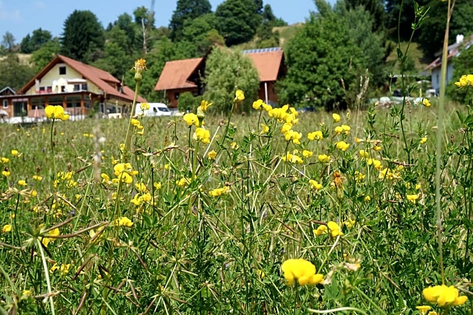 Seminar- und Erlebnishof Das schwarze Schaf