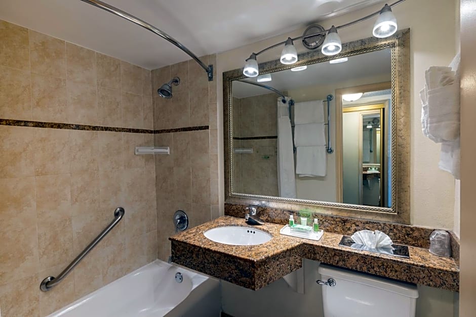 Holiday Inn Hotel Port of Miami-Downtown by IHG