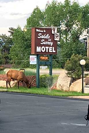 Saddle & Surrey Motel