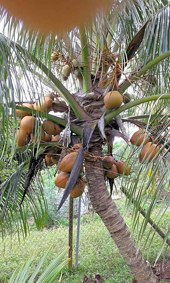 Chez Karine & Harold