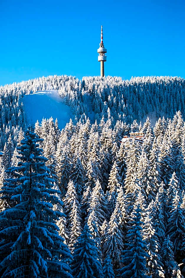 Sunny Hills Ski&Wellness