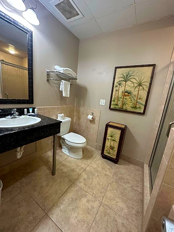 Tahitian Inn Boutique Hotel Tampa