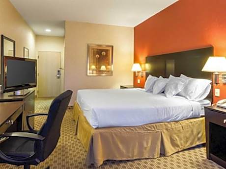1 King Bed, Suite, Nonsmoking