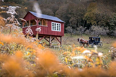 Valea Verde Retreat Transilvania