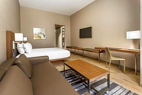 King Room with Sofa Bed