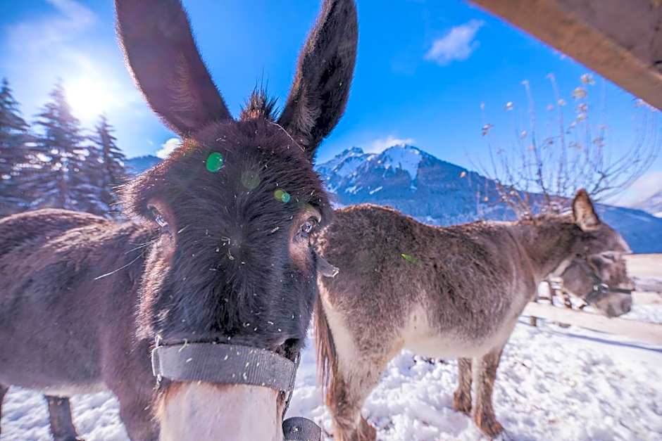 Le Marie Lydie - Chambre d'hôte