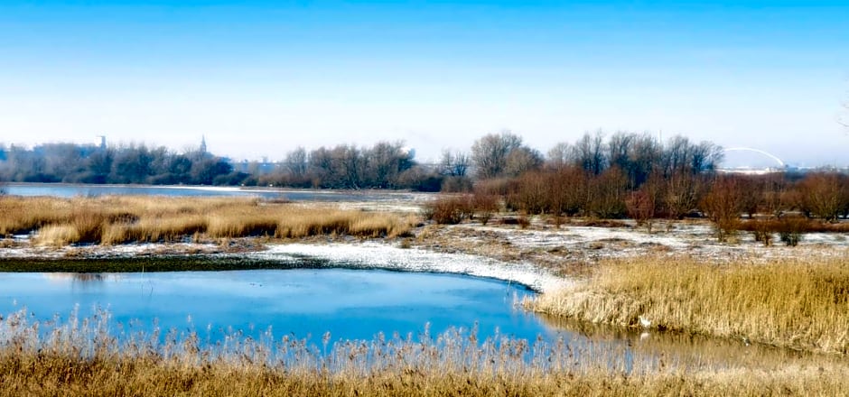 Gezinskamer van Waard van Kekerdom