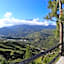 Crystal Hill R