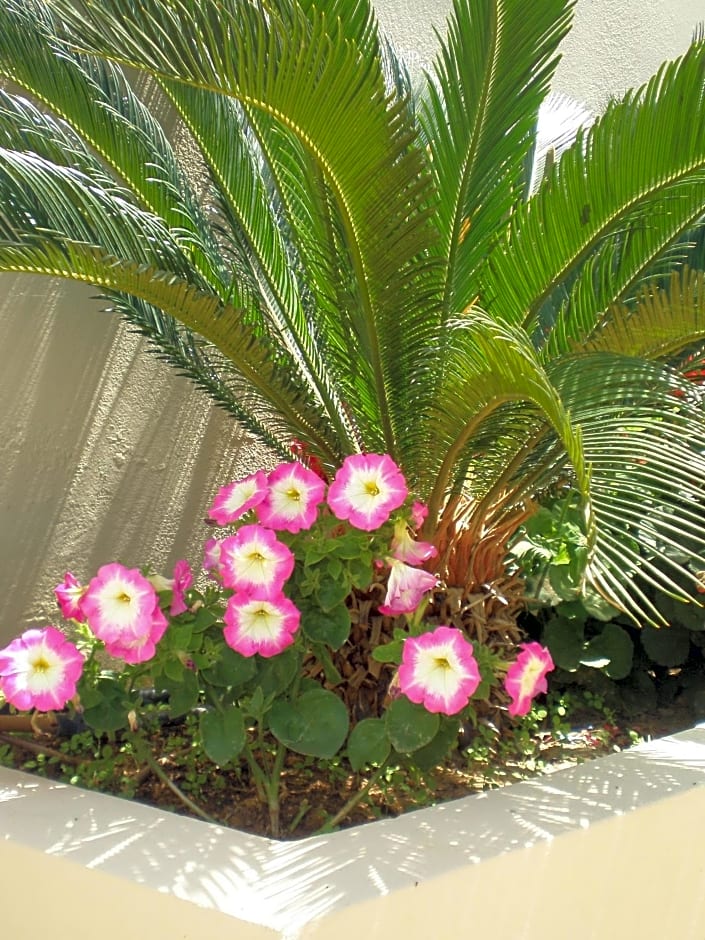 Scala Hotel-Apartments