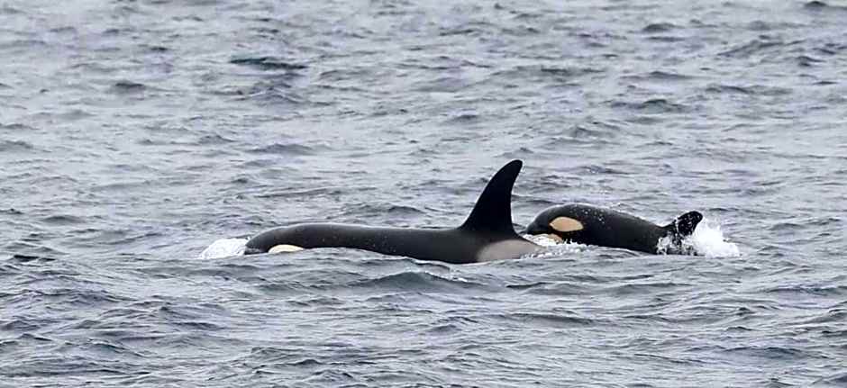 Sinclair Bay Apartments