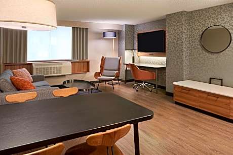 Suite King Bed Non Smoking