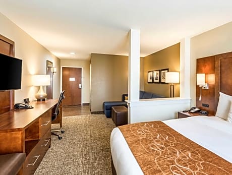 Deluxe Suite with 1 King bed and Sofabed - No Smoking