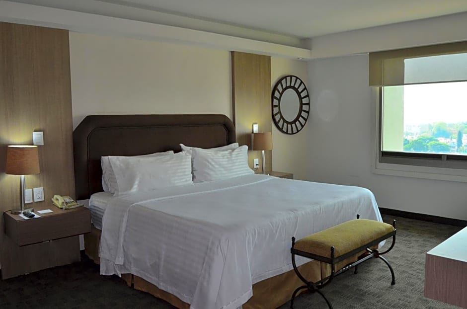 Holiday Inn Guadalajara Select By IHG