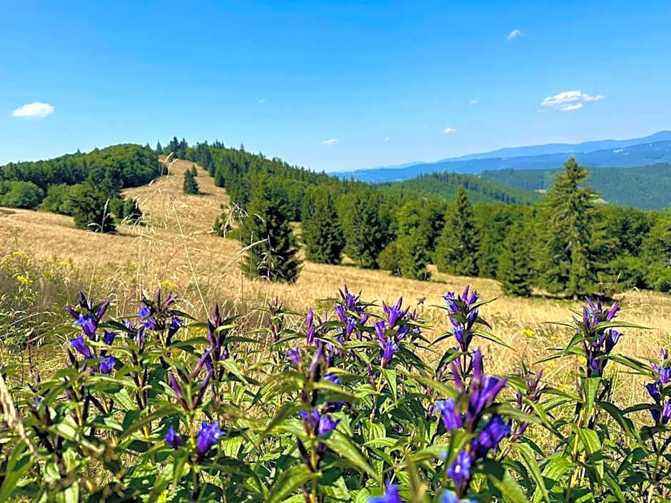 Horský Hotel Podjavorník