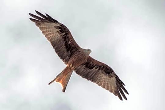 CHAMBRE HOTES CARPE DIEM