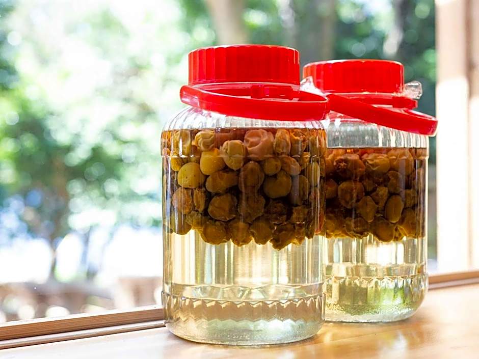 Iseebiso - Vacation STAY 69518v