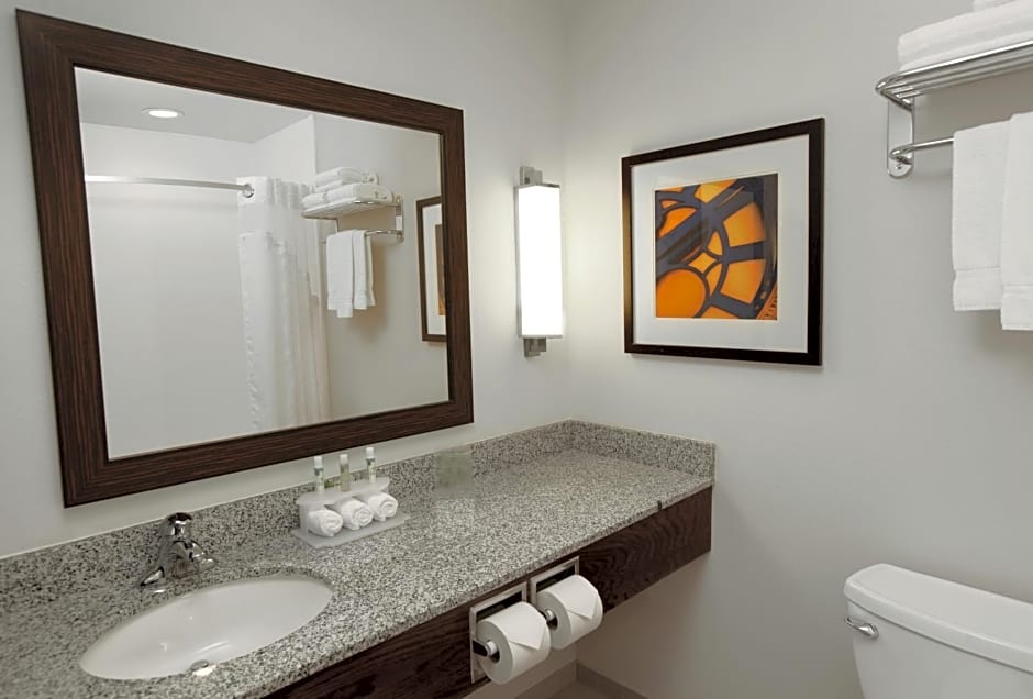 Holiday Inn Express & Suites Omaha South Ralston Arena, an IHG Hotel
