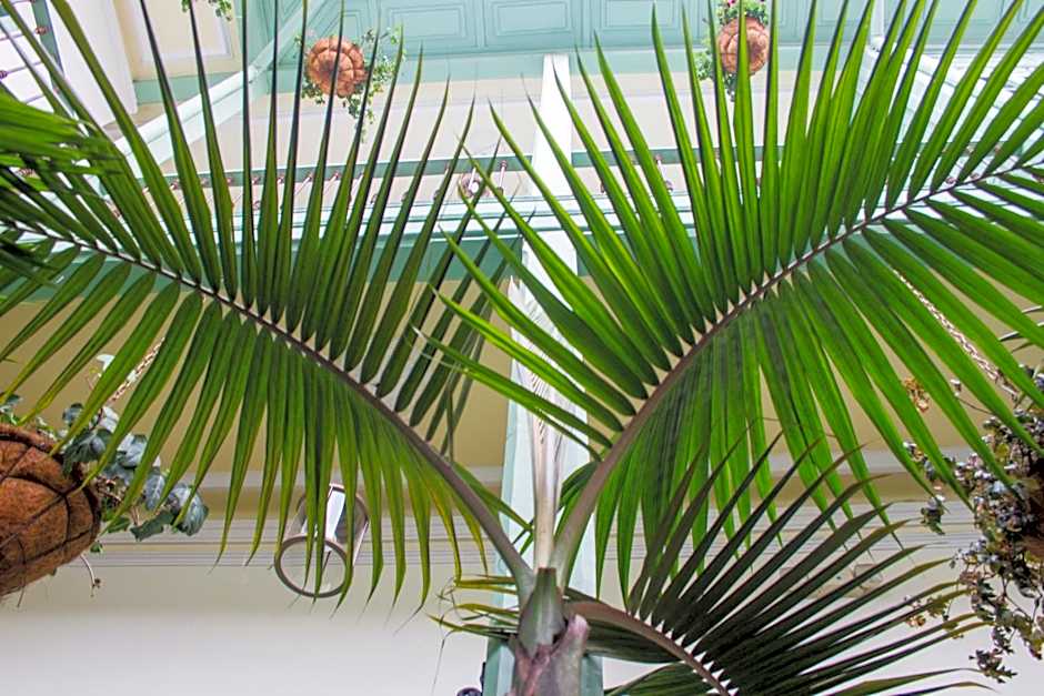 Hotel Casa de la Vega
