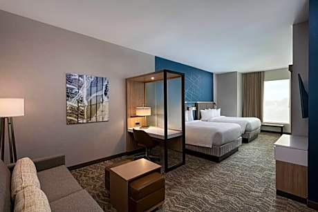 Deluxe King Suite