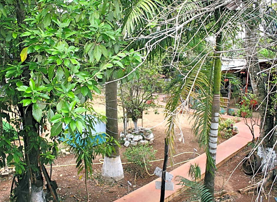 Yaxche Centro Hostal y Camping
