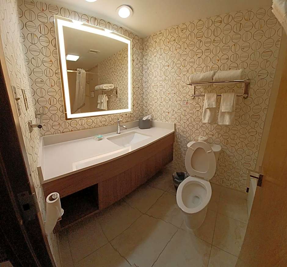 Holiday Inn McAllen Medical Center Area By IHG