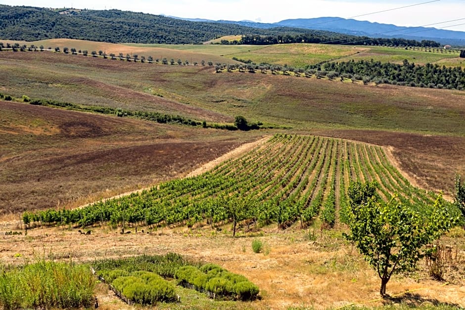 Agriturismo Le Tassinaie