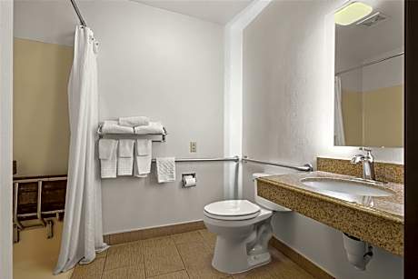 Accessible - 1 King Mobility Accessible Roll In Shower Non-Smoking Full Breakfast