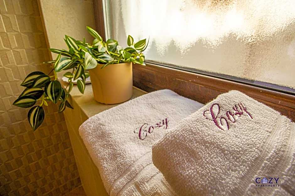 Unique and Cozy ApartHotel in Brasov