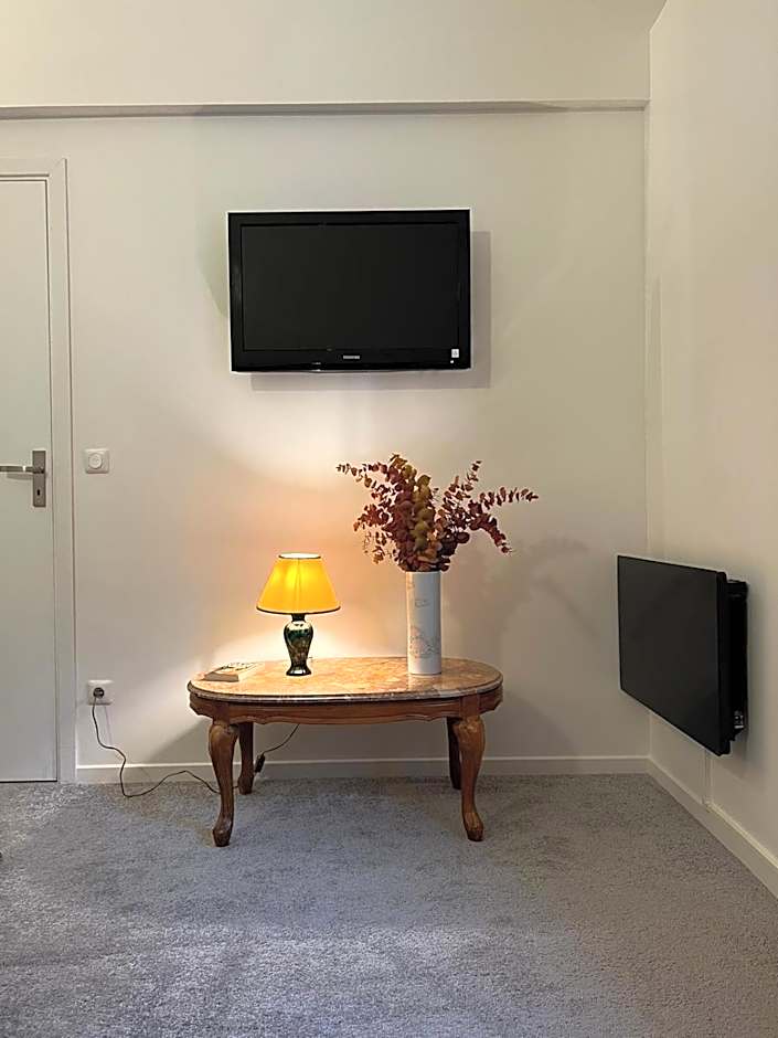 THEIA - Limoges Centre