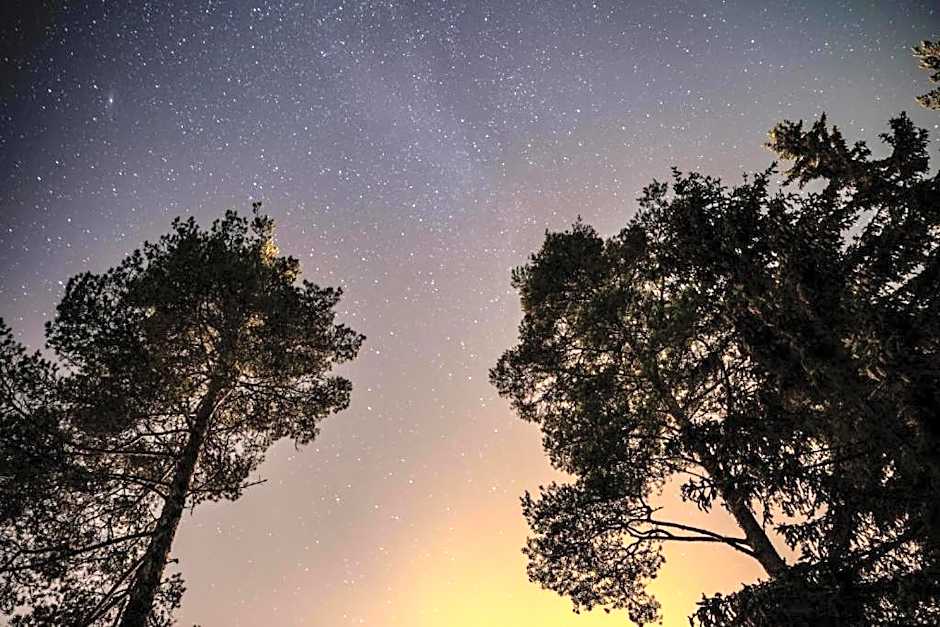 Rafi - The Village of Silence, Aurora Cabin 3