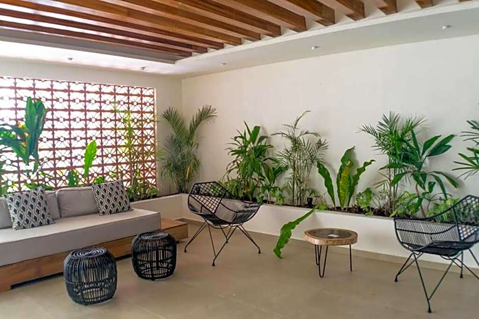 Studio Solea 410
