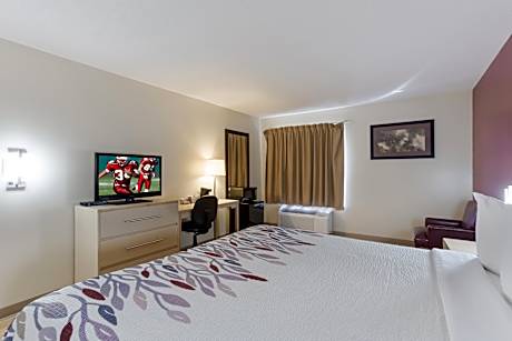 Non-Smoking Suite 1 King Bed(s) Micro-Fridge