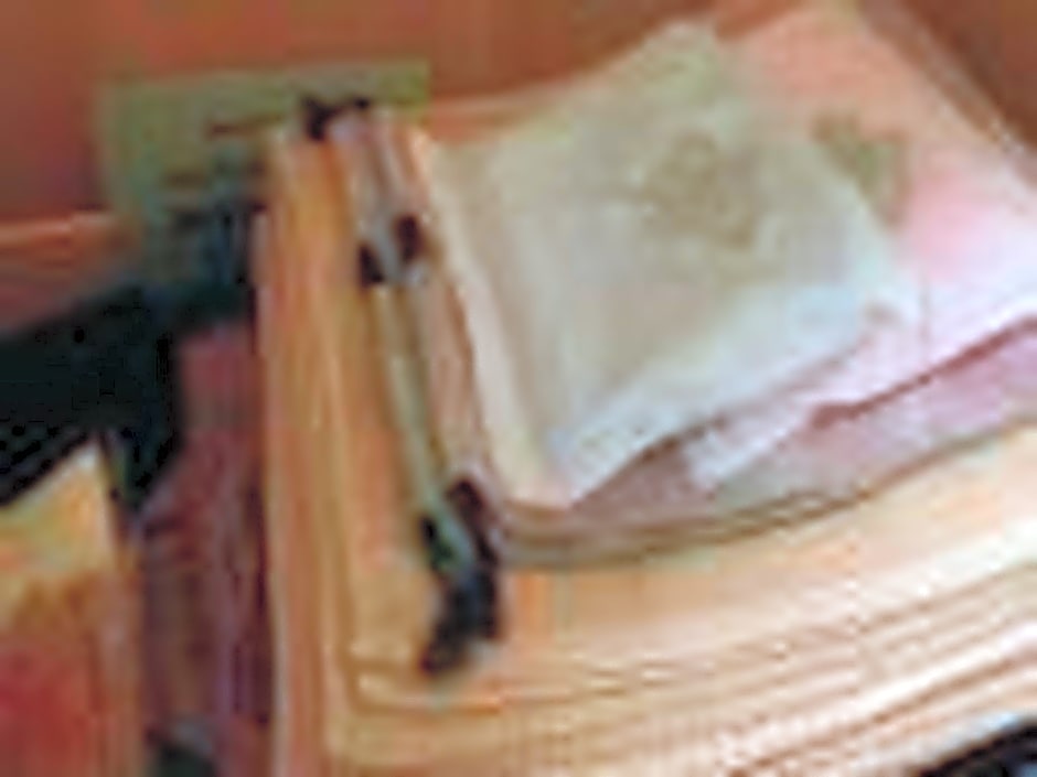 Nozawa Onsen Nozawa Grand Hotel