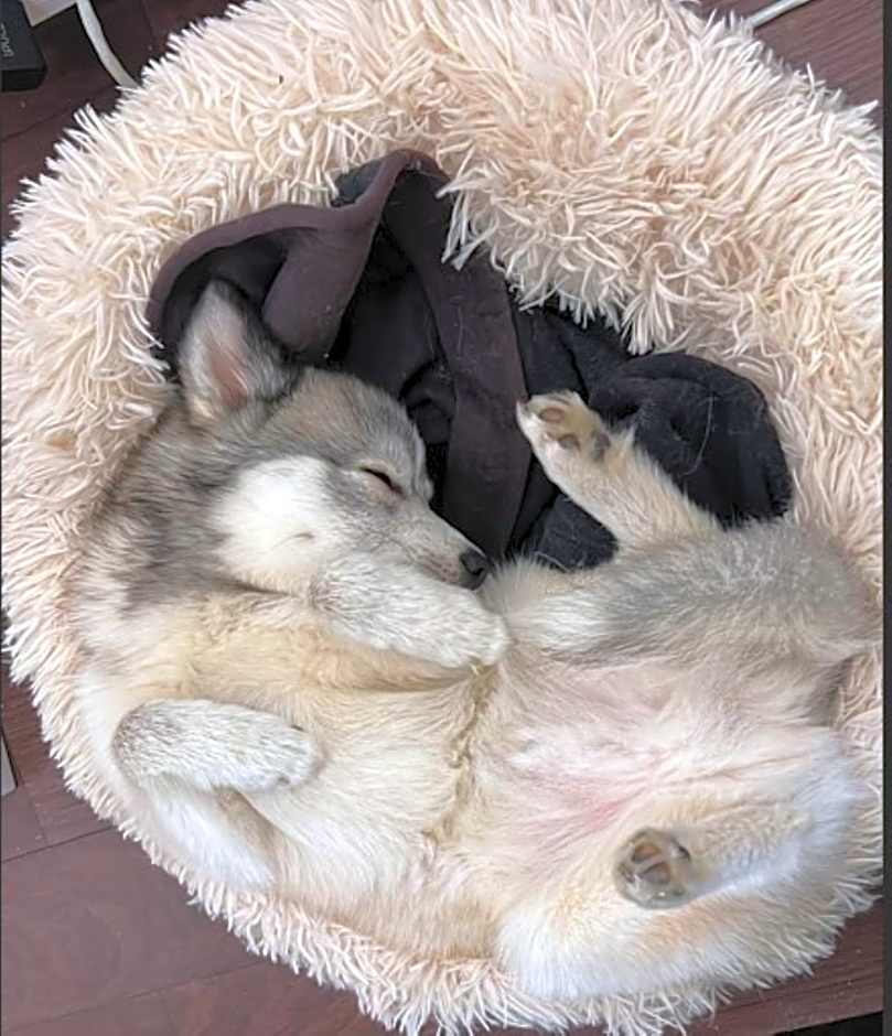 Kyriad Rouen Sud - Oissel