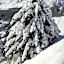 Rifugio Vieux Crest