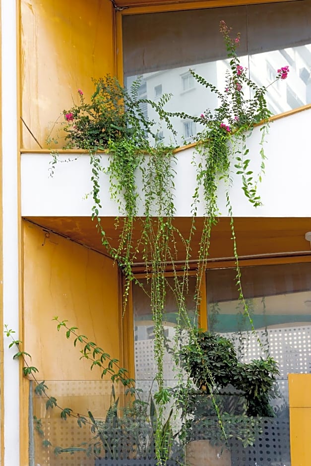 Cactusland Near Saigon Train Station