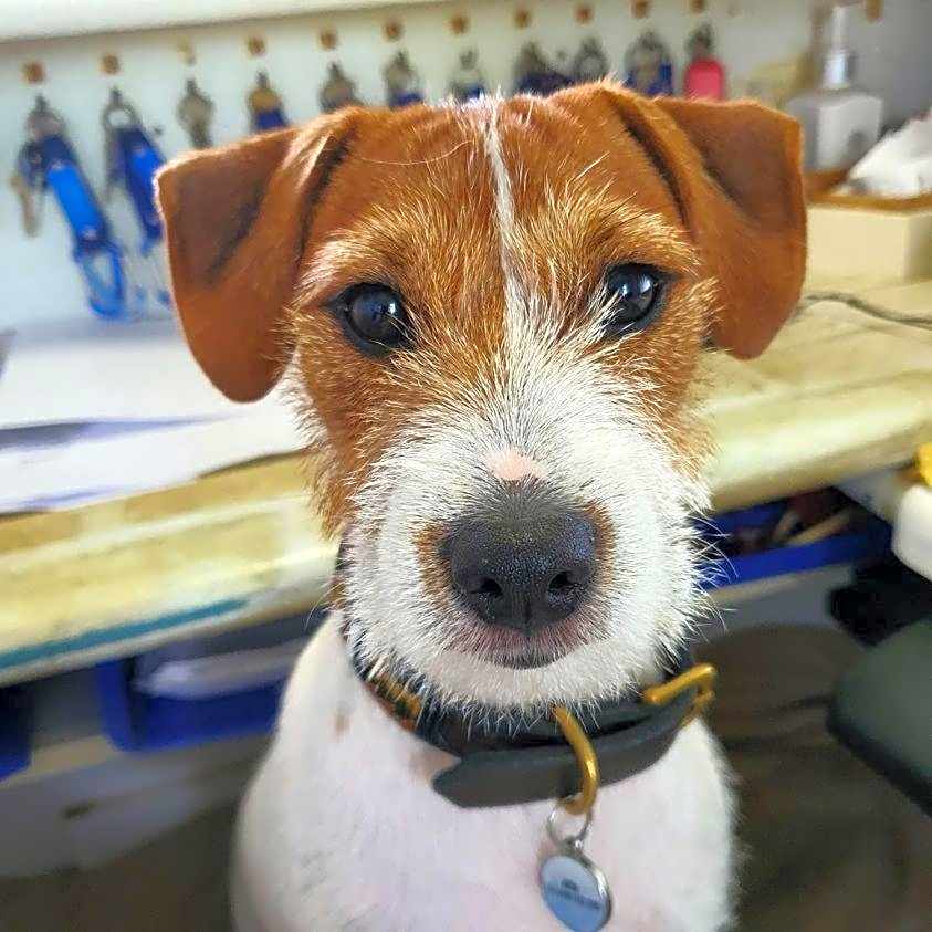 Clifton Sands Holiday Units