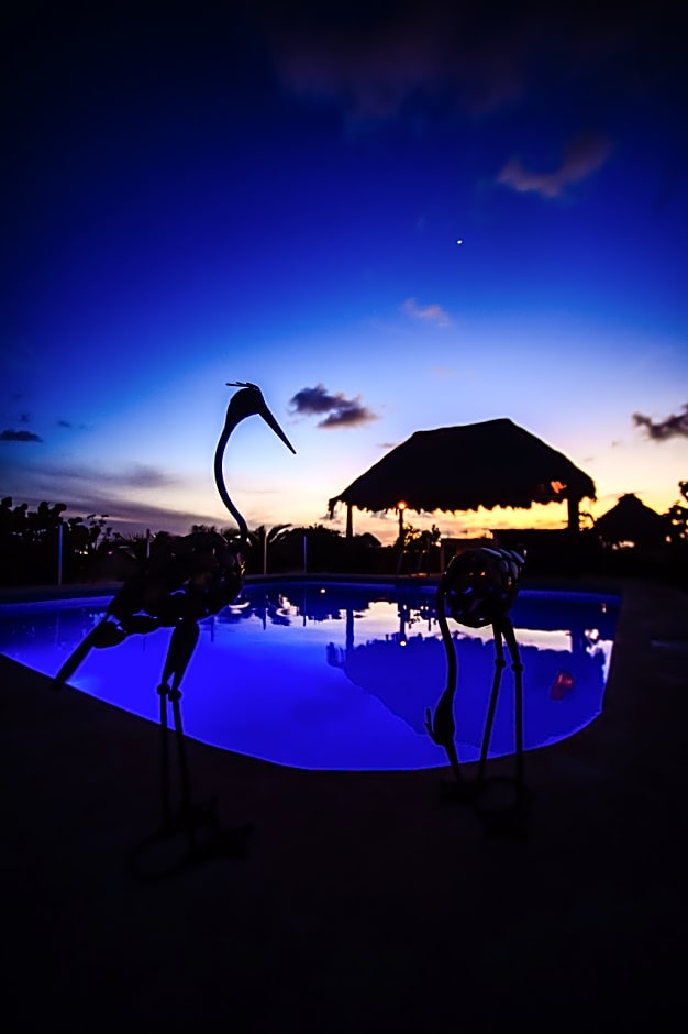 Encanto Riviera Condohotel