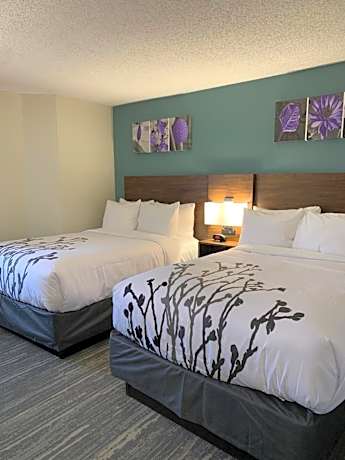 Standard Double Room with Two Double Beds - Non Smoking