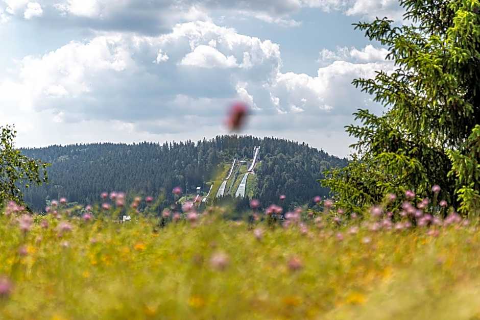 stuub hinterzarten