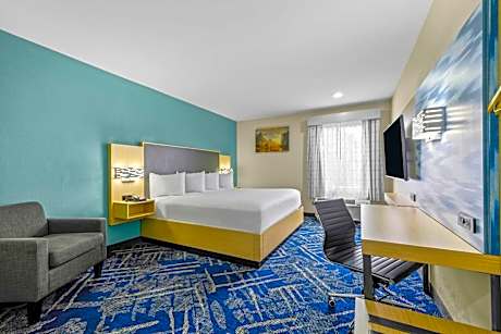 1 King Bed Non-Smoking