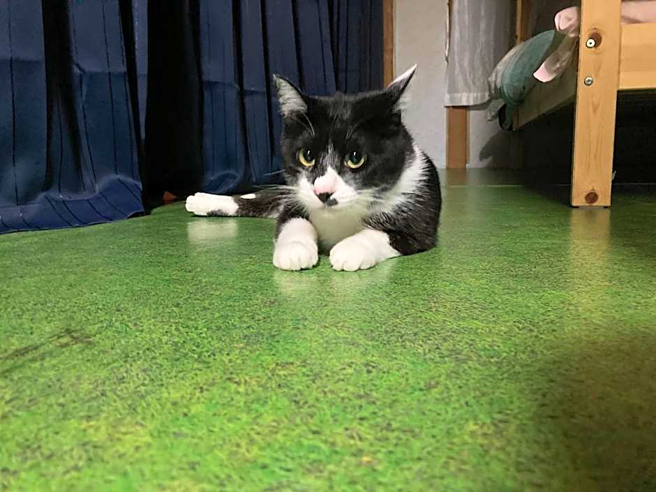 日本一しょぼいゲストハウス ウタラといかん Poor and Shabby GuestHouse "UtaraToikan"