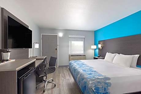 1 King Bed Non-Smoking