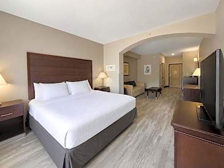 One-Bedroom King Suite - Non-Smoking